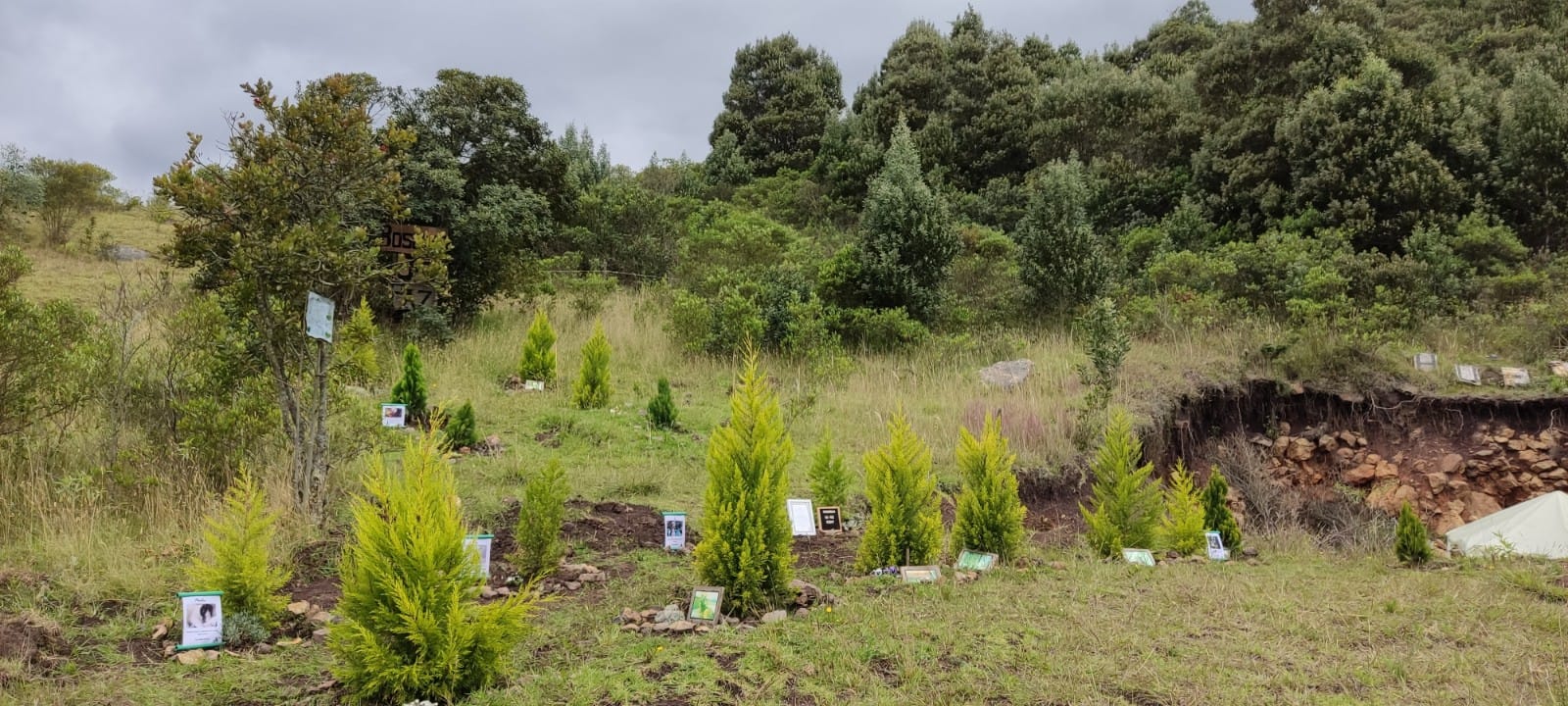 biodegradacion-natural-funeraria-huellitas-de-amor_2.png