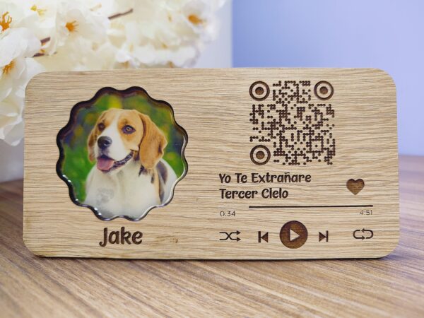 Placa Musical