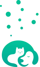 imgb9Mobile