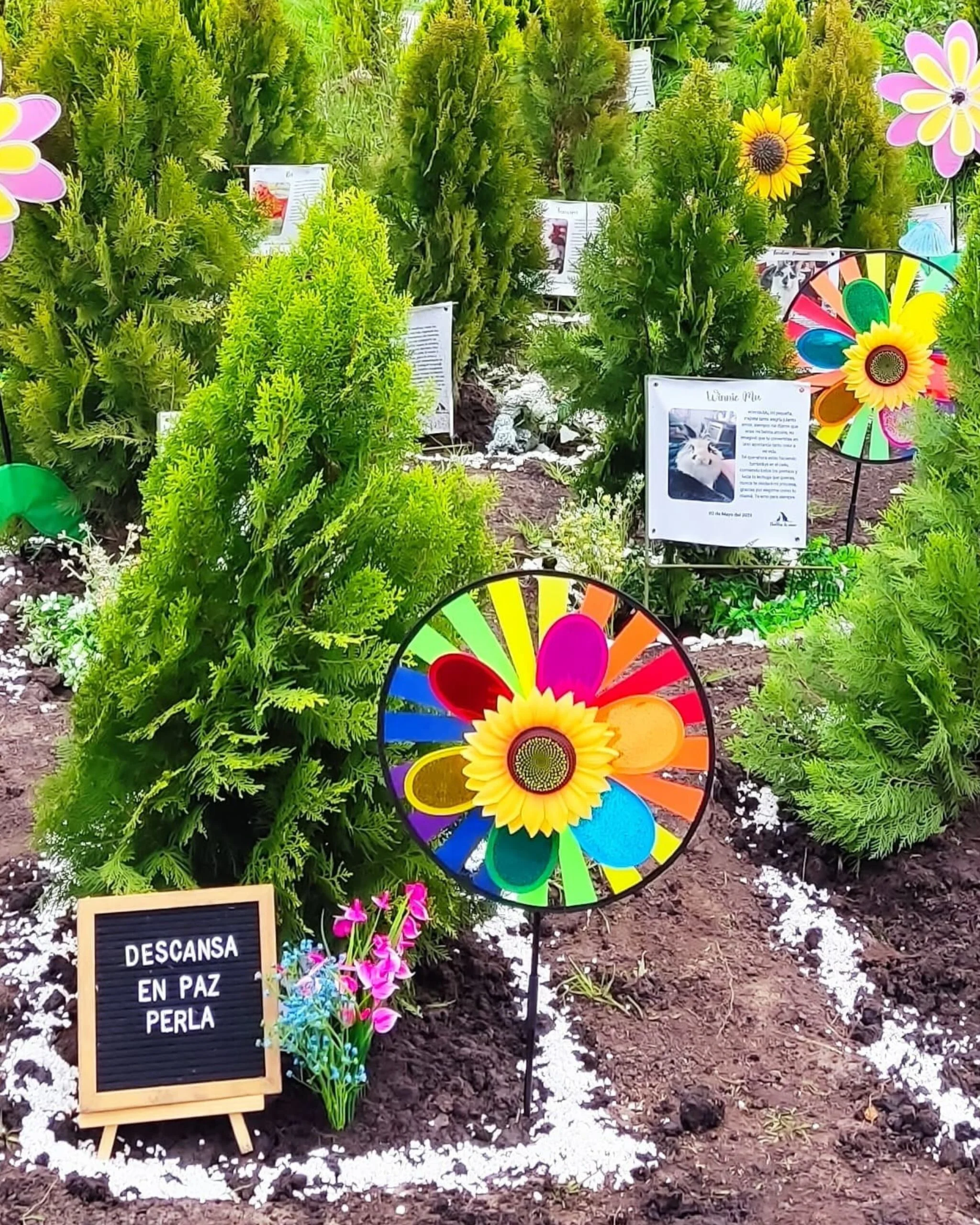 Entierro natural individual para mascotas en Bogotá con respeto y amor - Plan Orquídea