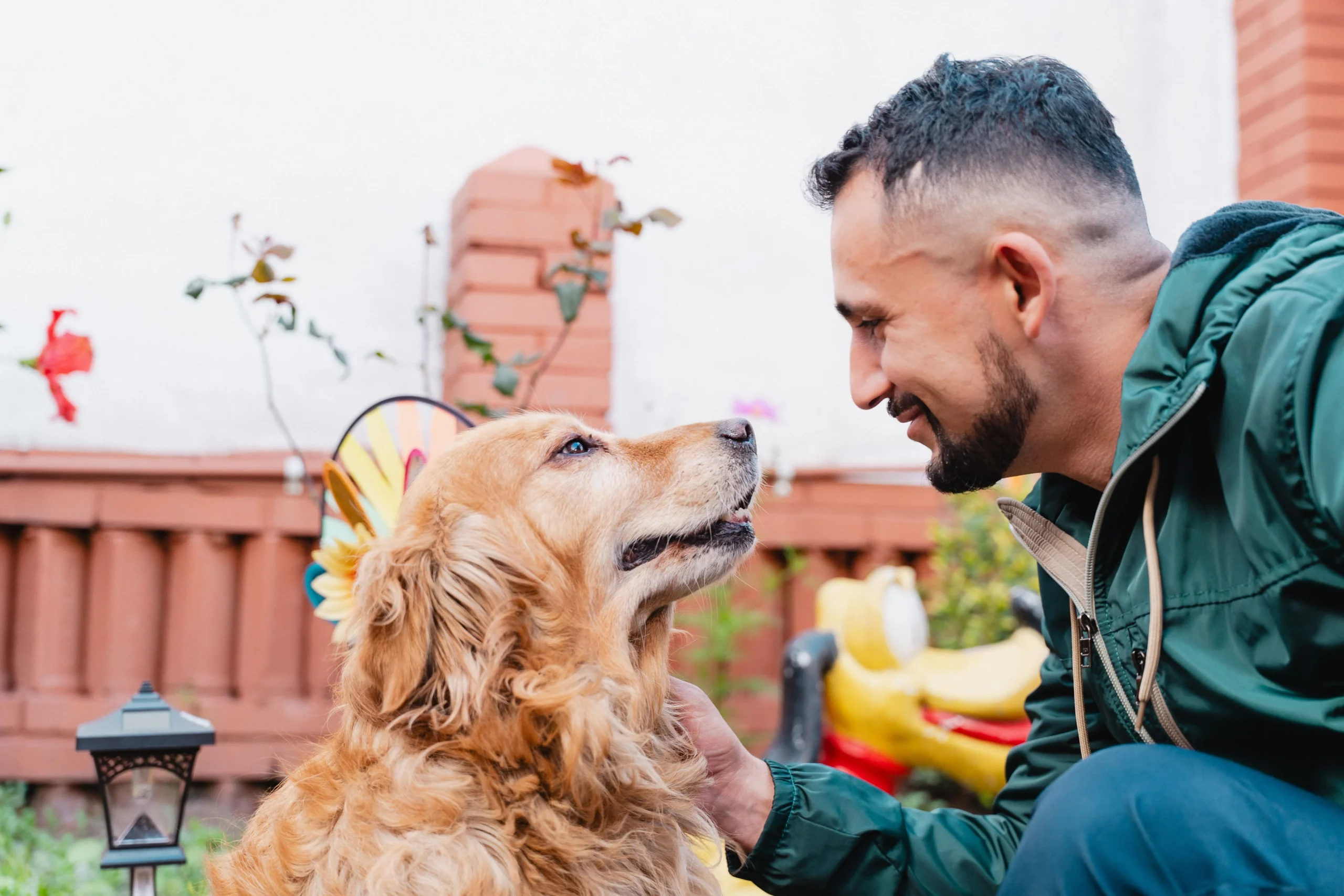 Eutanasia compasiva para mascotas en Bogotá – despedida tranquila y digna Eutanasia compasiva para mascotas en Bogotá – despedida tranquila y digna