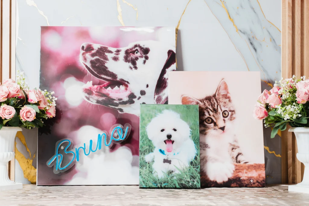 Funeraria para mascotas en Bogota - Huellitas de amor - Recordatorios personalizados