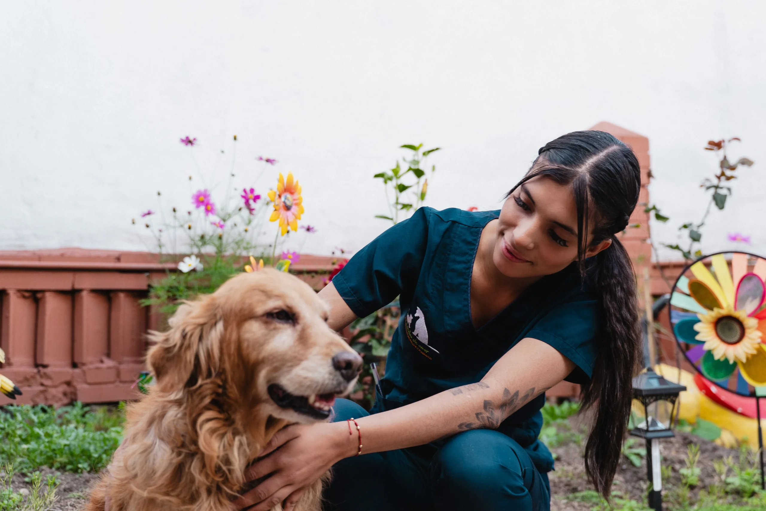 Funeraria para mascotas en Bogota - cremación grupal - Huellitas de amor - Experiencia y confianza que inspiran seguridad Funeraria para mascotas en Bogota - cremación grupal - Huellitas de amor - Experiencia y confianza que inspiran seguridad
