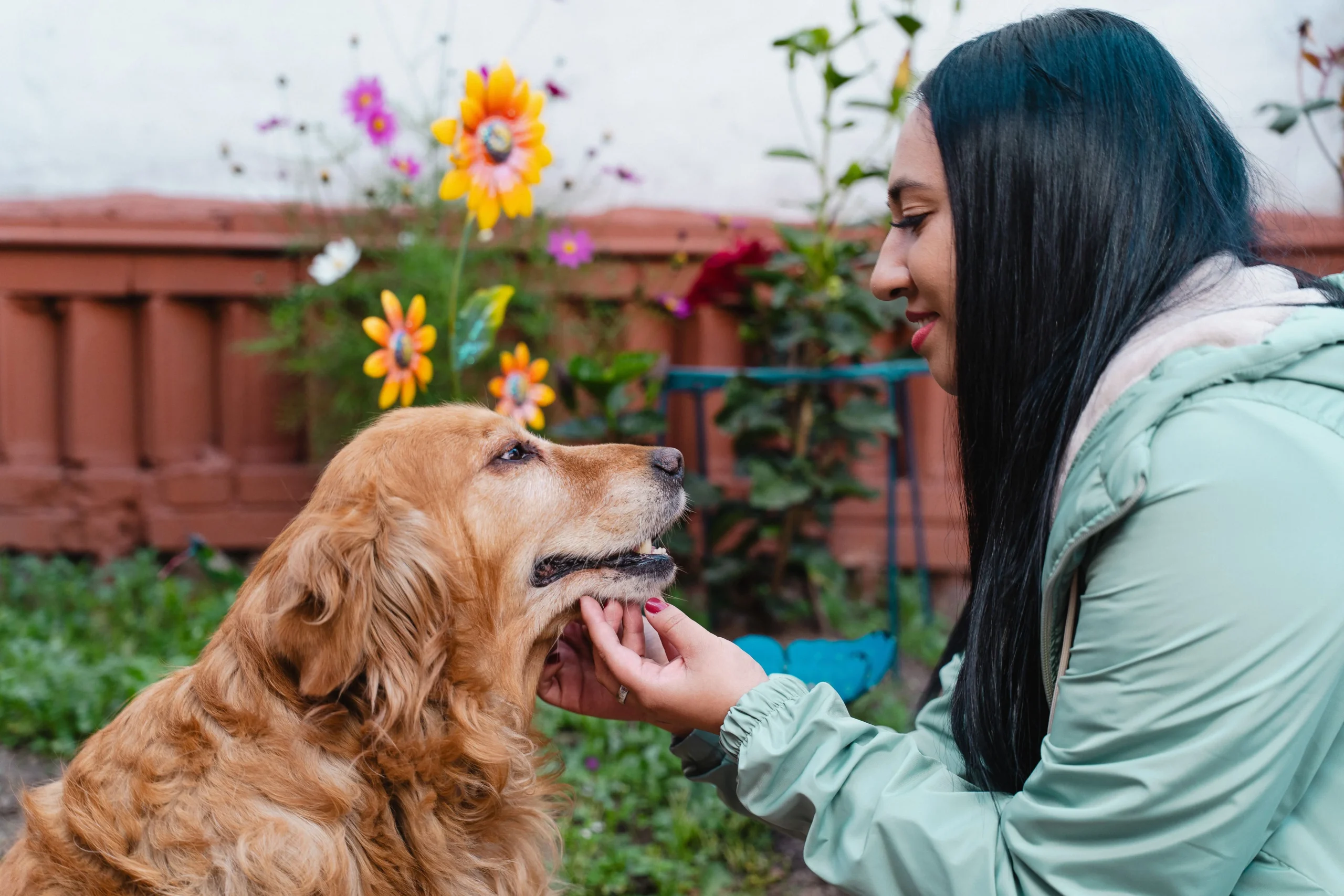 Funeraria y cremación de mascotas en Bogotá – servicios con amor y respeto Funeraria y cremación de mascotas en Bogotá – servicios con amor y respeto