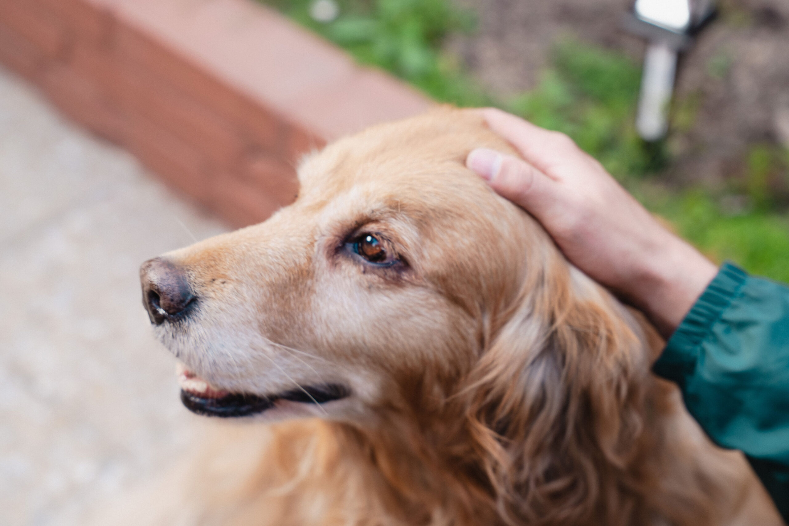 Huellitas 039 scaled