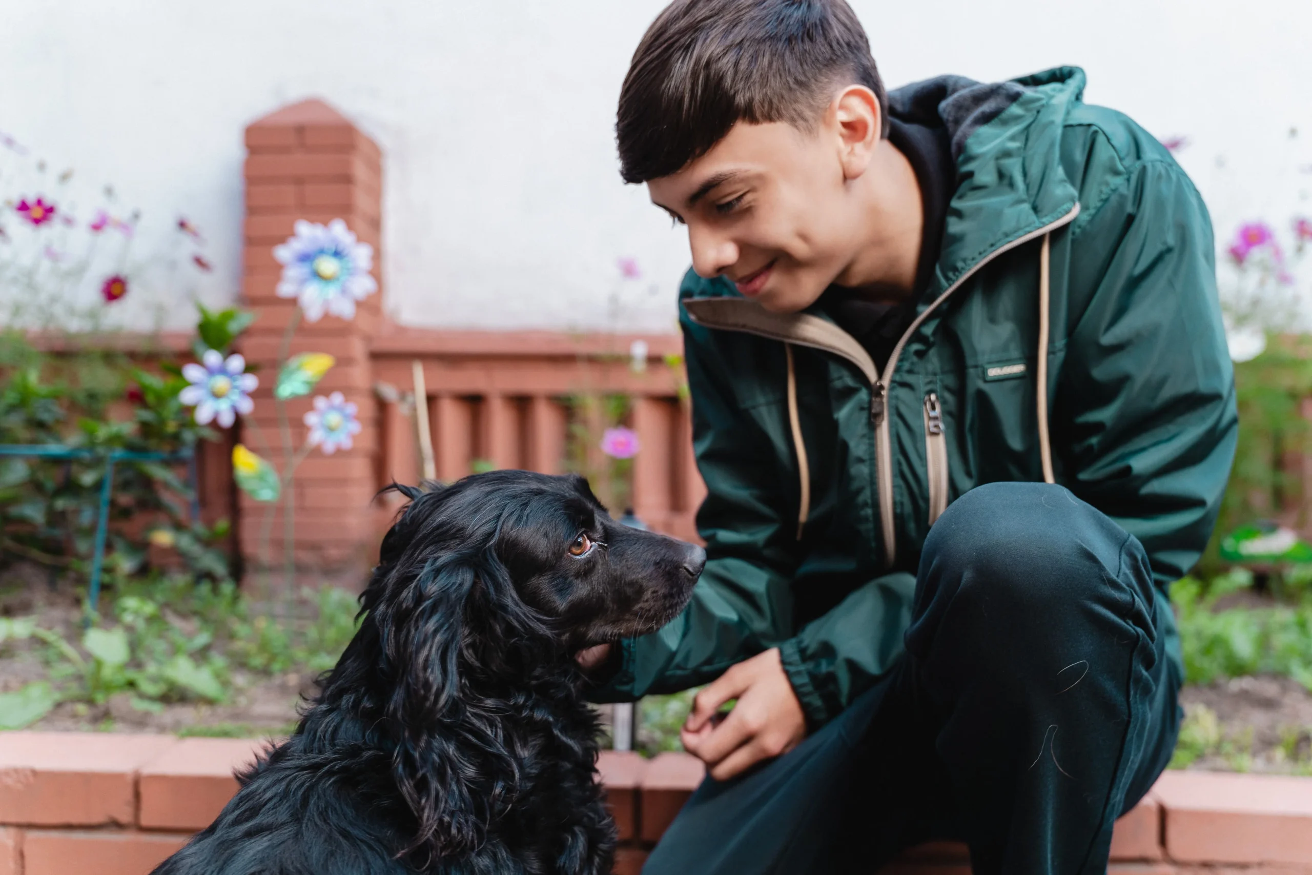 Planes pre exequiales para mascotas en Bogotá – Huellitas de Amor
