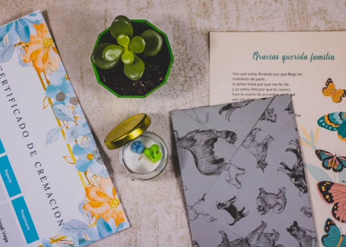 Cremación grupal de mascotas en Bogotá – servicio digno y solidario Cremación grupal de mascotas en Bogotá – servicio digno y solidario