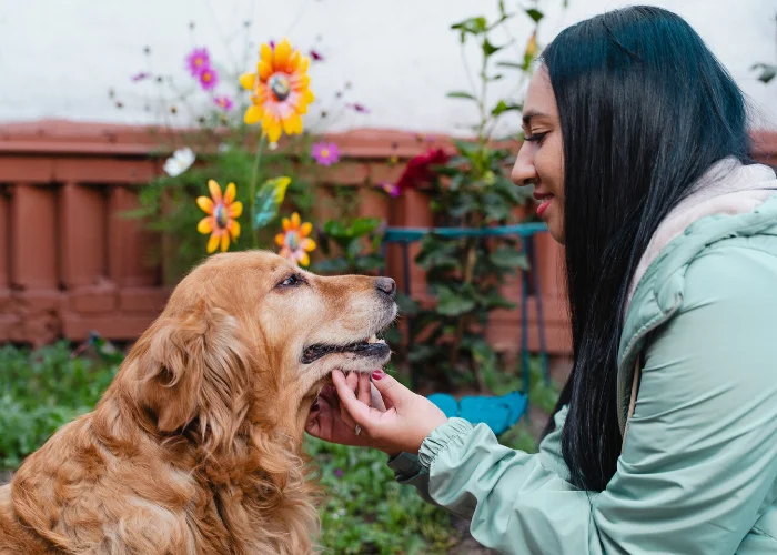 Funeraria y cremación de mascotas en Bogotá – servicios con amor y respeto Funeraria y cremación de mascotas en Bogotá – servicios con amor y respeto